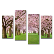 Sakura Cherry Blossom Canvas Prints Pink Flowers Wall Art